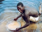 Goldminer panning for gold